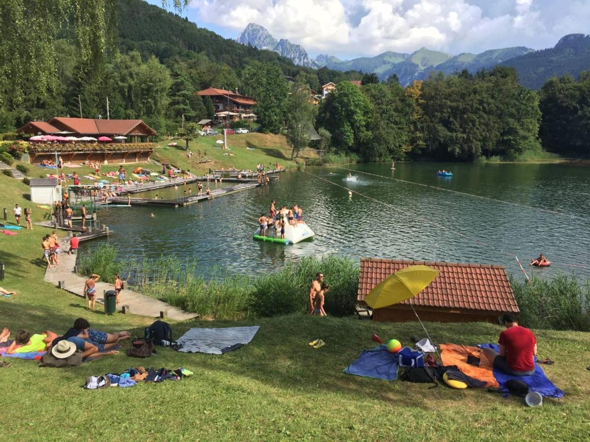Le 211,Ski Et Randonnee, Lave Linge ,Parking Bernex Exterior photo
