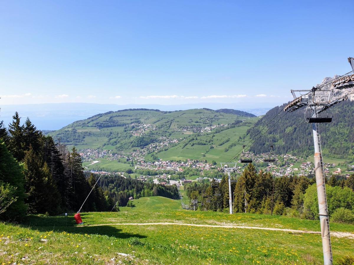 Le 211,Ski Et Randonnee, Lave Linge ,Parking Bernex Exterior photo